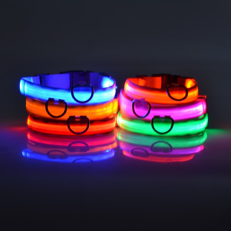 LED Hundehalsband "Lumixa"