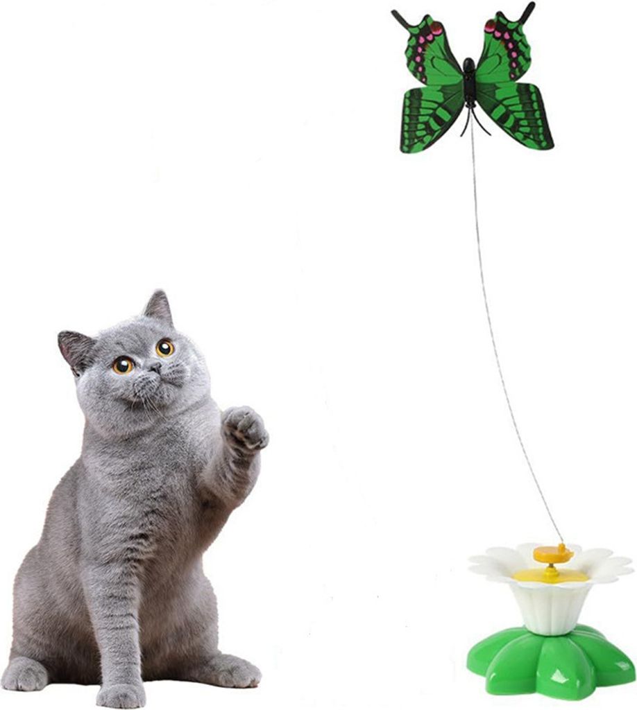 Schmetterling Spielzeug für Katzen