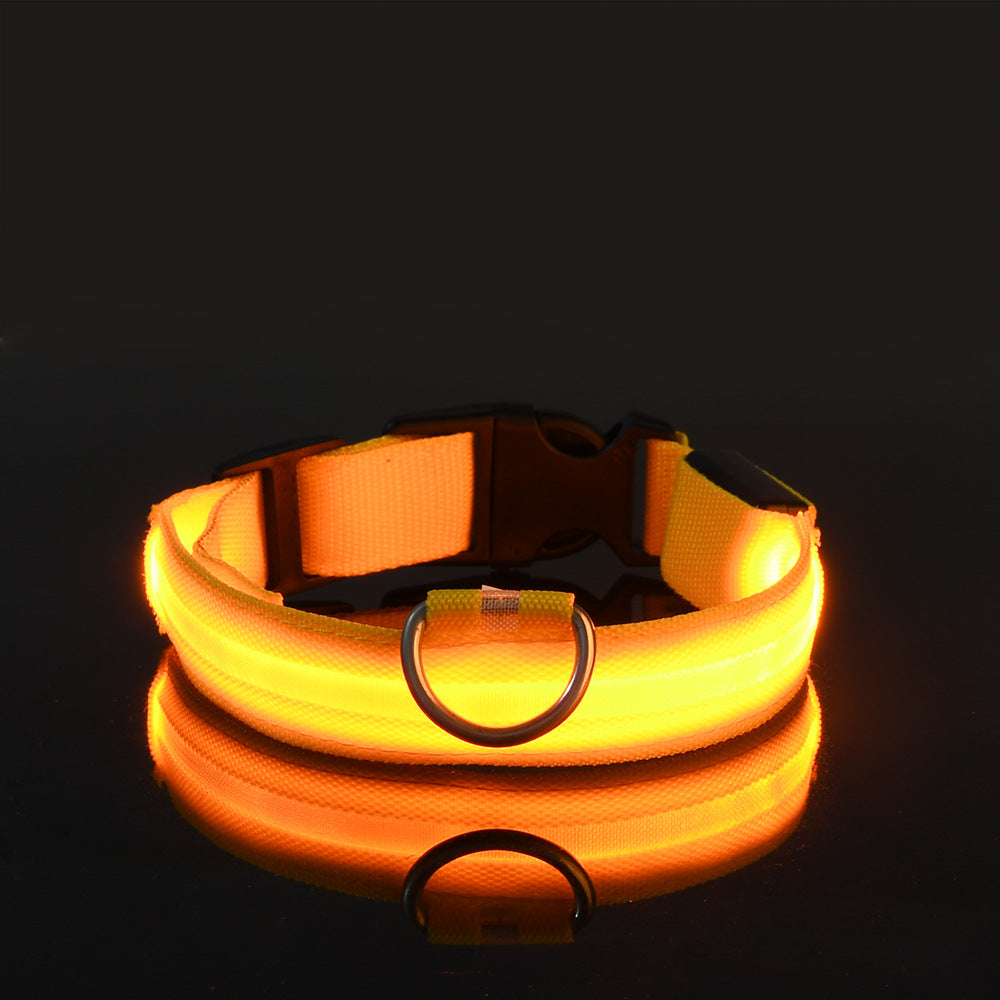 LED Hundehalsband "Lumixa"