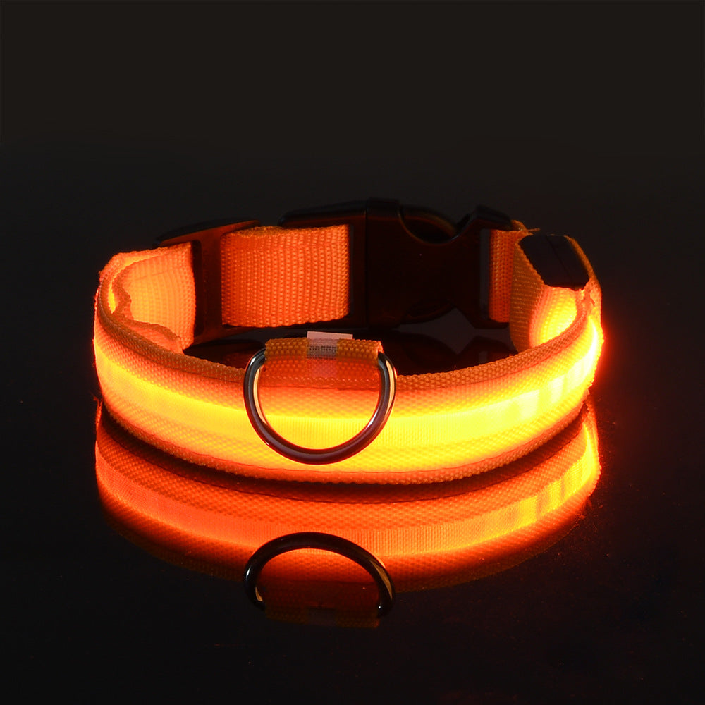 LED Hundehalsband "Lumixa"