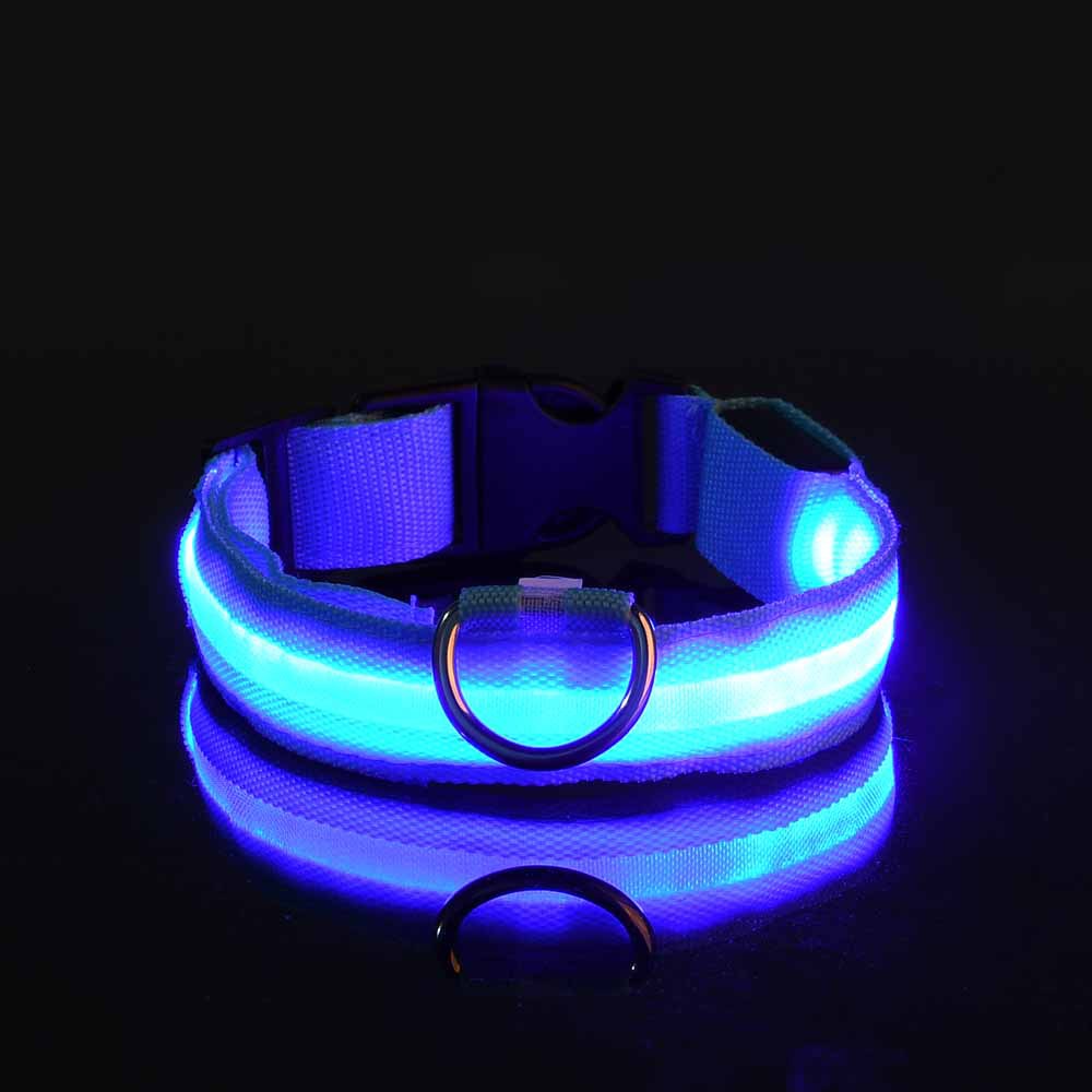 LED Hundehalsband "Lumixa"