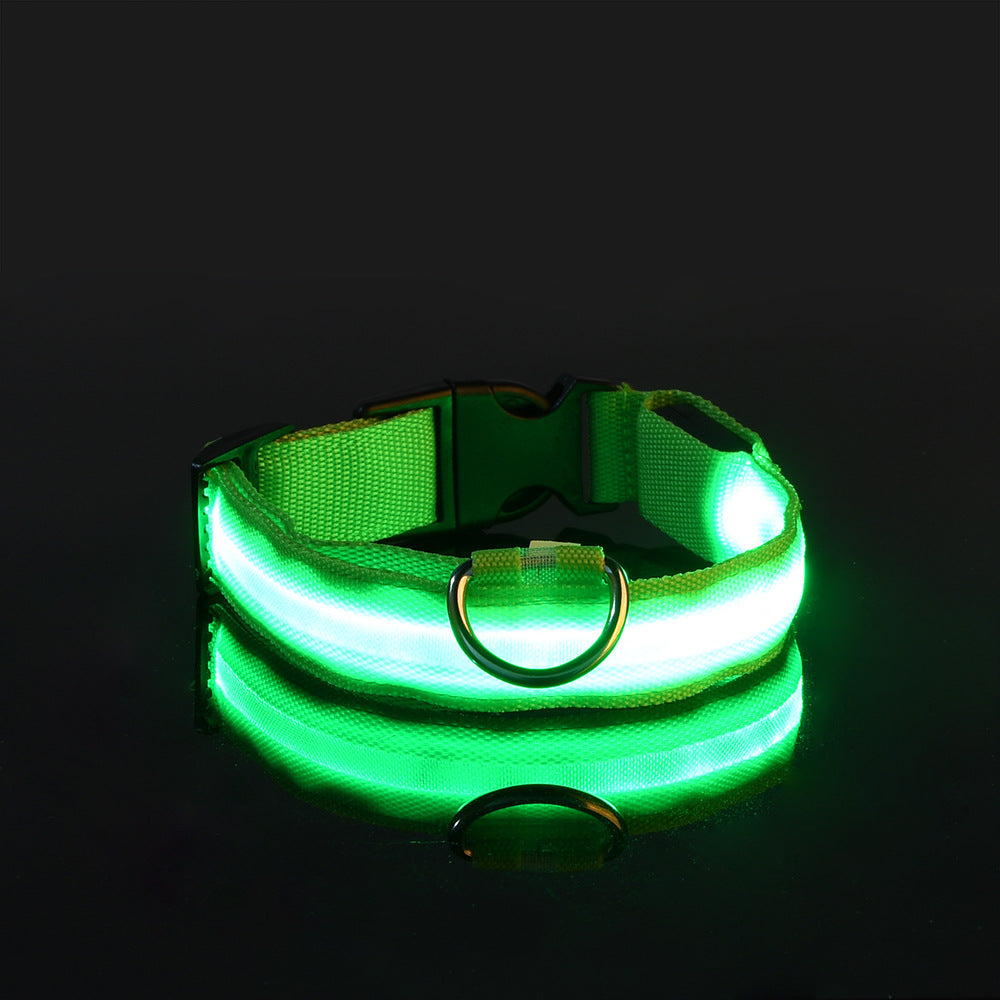 LED Hundehalsband "Lumixa"