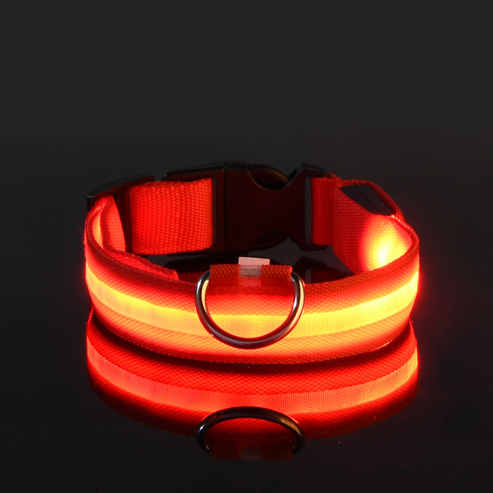 LED Hundehalsband "Lumixa"