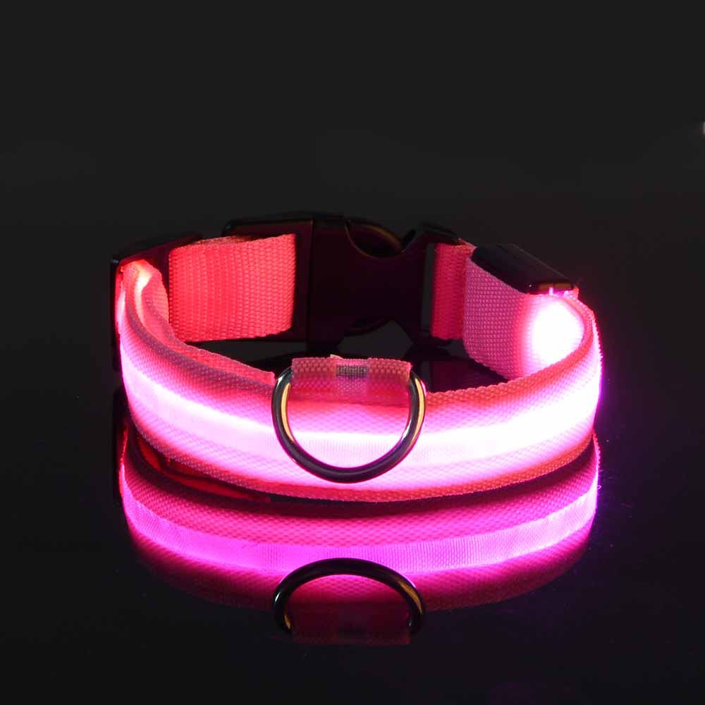 LED Hundehalsband "Lumixa"