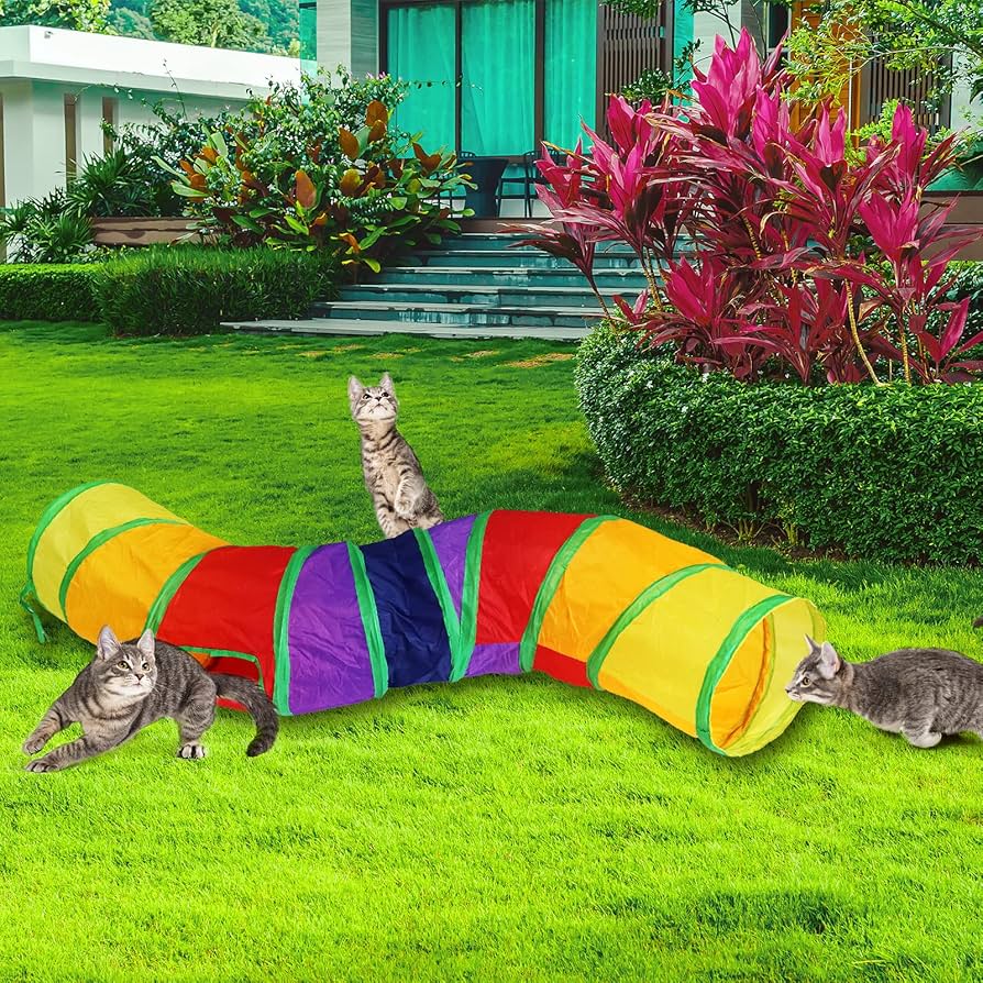 Regenbogen Katzen Tunnel