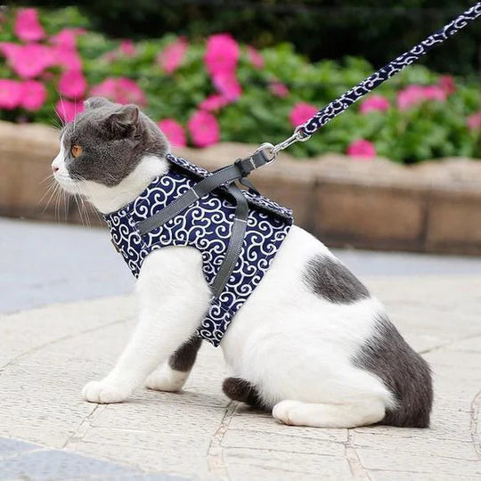 Atmungsaktives Katzengeschirr Mit Leine Für Outdoor-Spaziergänge