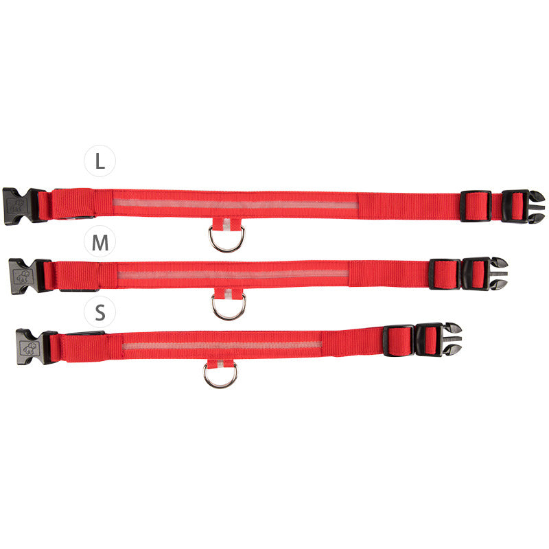 LED Hundehalsband "Lumixa"