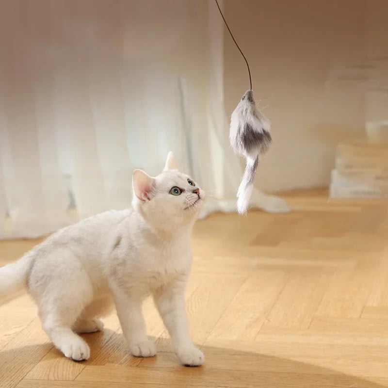 Katzen Turboball mit Schwanz Spielzeug