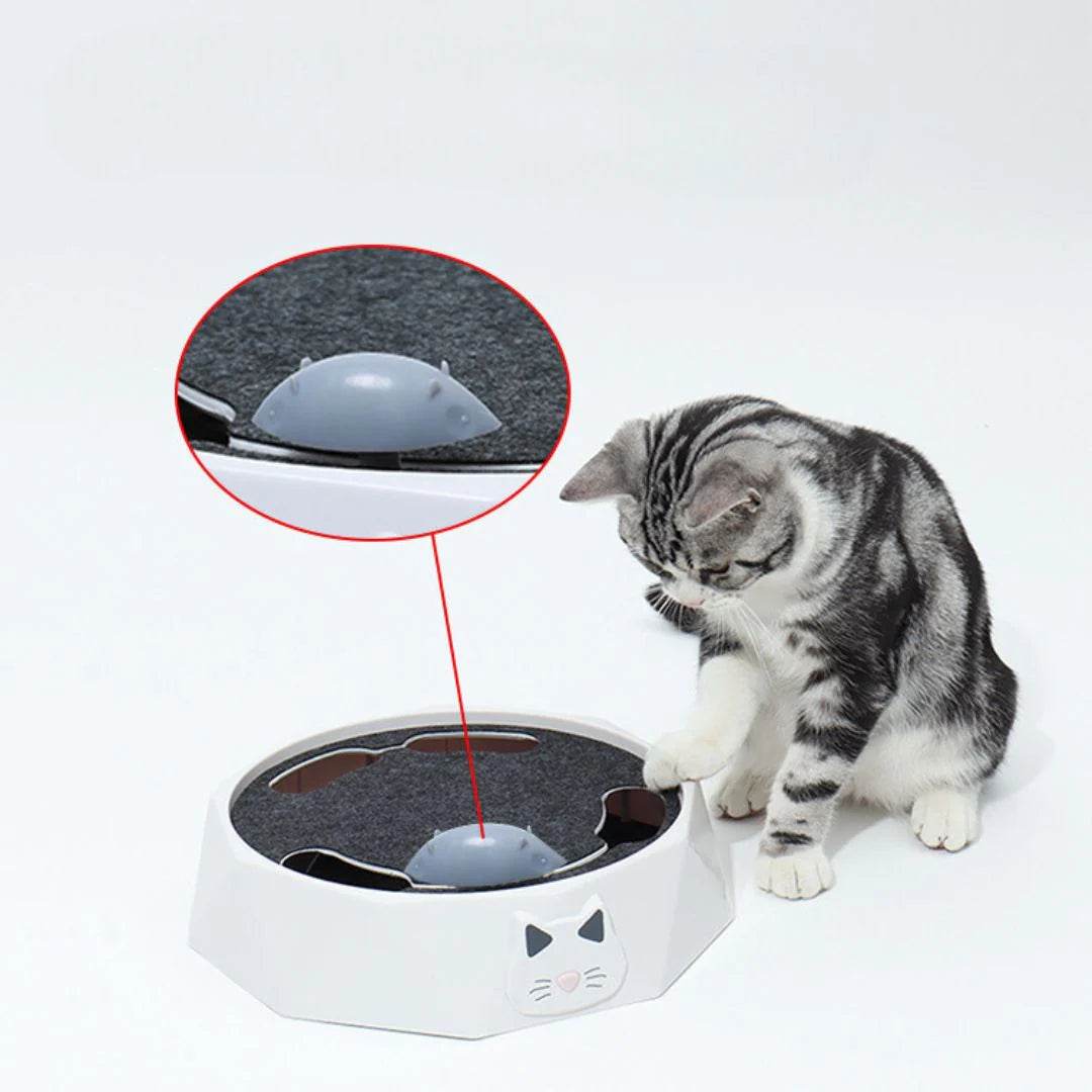 Interaktives Mausversteckspiel für Katzen
