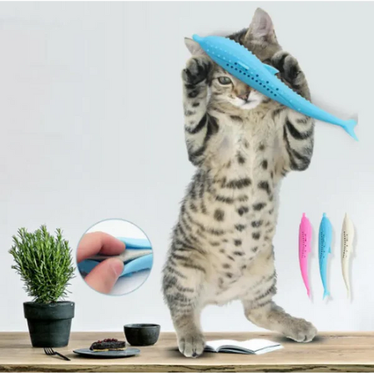 Silikon Haustier-Spielzeug In Walform Kauspielzeug für Katzen und Kleine Hunde