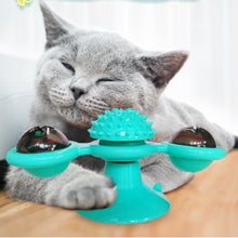 Katzen Karussell Spinner Spielzeug
