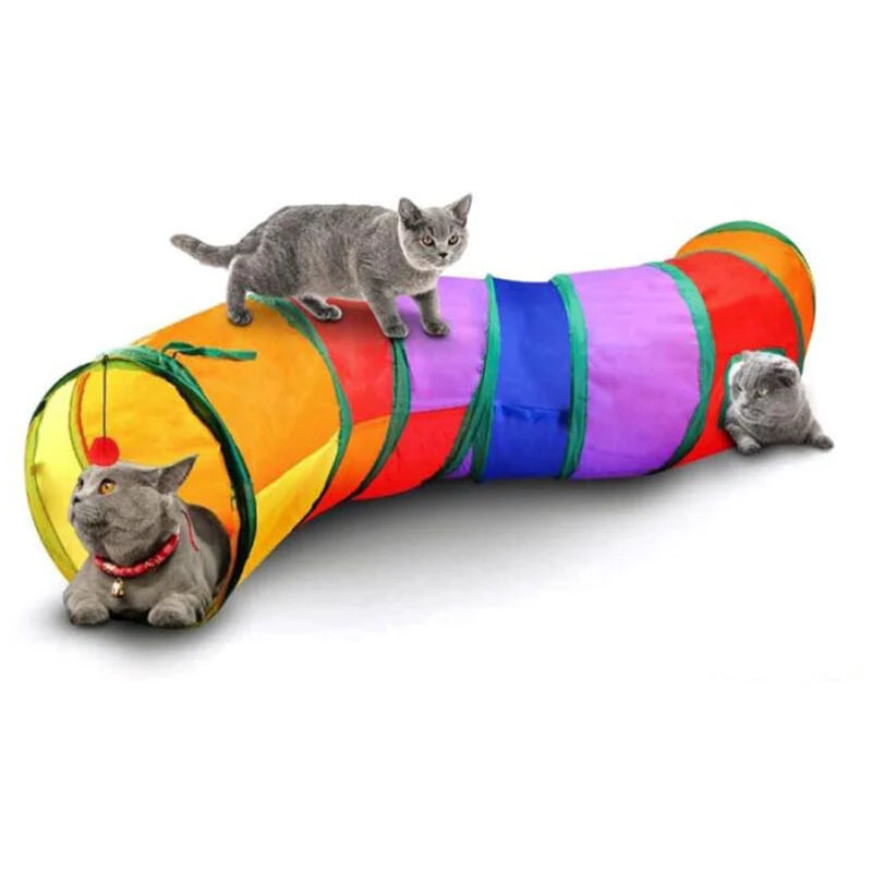 Regenbogen Katzen Tunnel