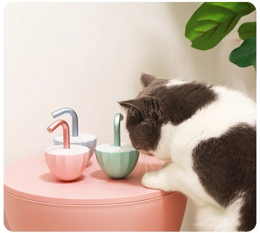 Katzen Laser Wackel Spielzeug