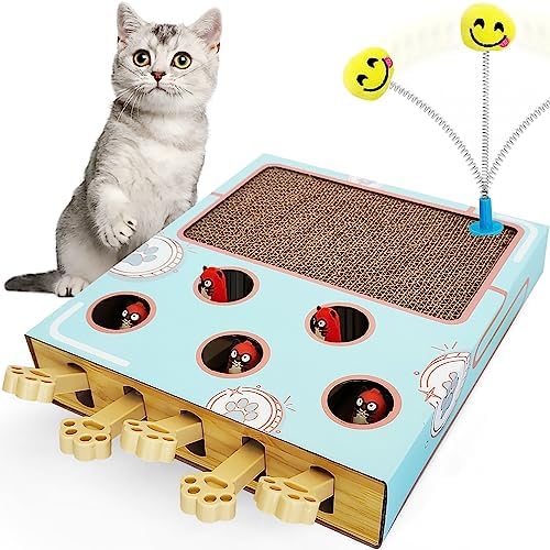 3in1 Spielbox für Katzen