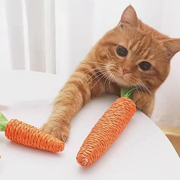 Katzen-Kratzkarotte – Interaktives Sisal-Spielzeug Für Verspielte Stubentiger 13 cm