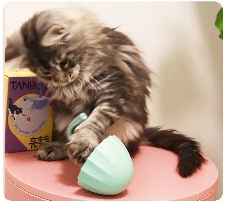 Katzen Laser Wackel Spielzeug