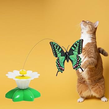 Schmetterling Spielzeug für Katzen