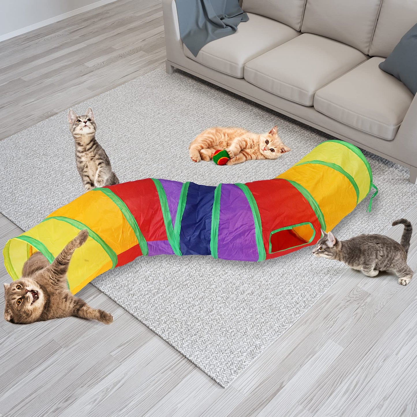 Regenbogen Katzen Tunnel