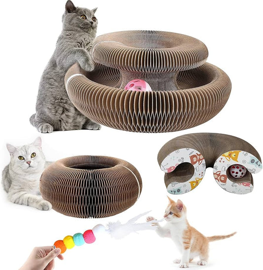 Katzen Ball und Kratz Spielzeug