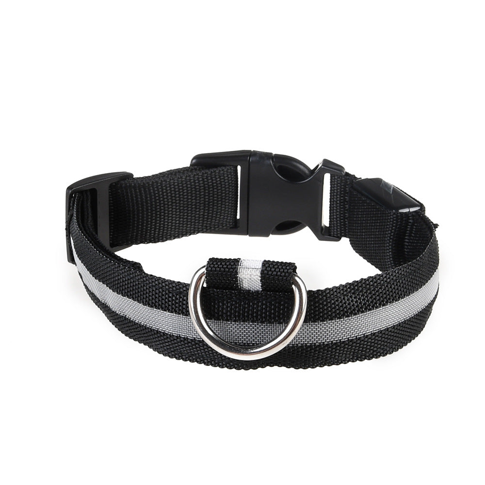 LED Hundehalsband "Lumixa"