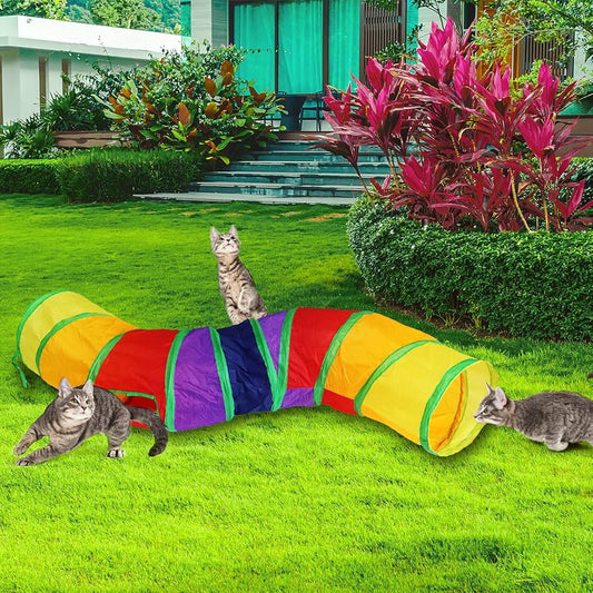 Regenbogen Katzen Tunnel