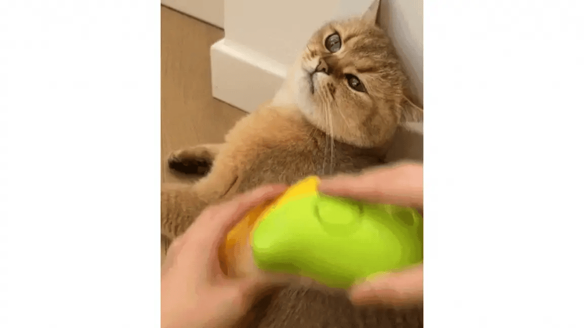 Steamy - Premium Katzenbürste