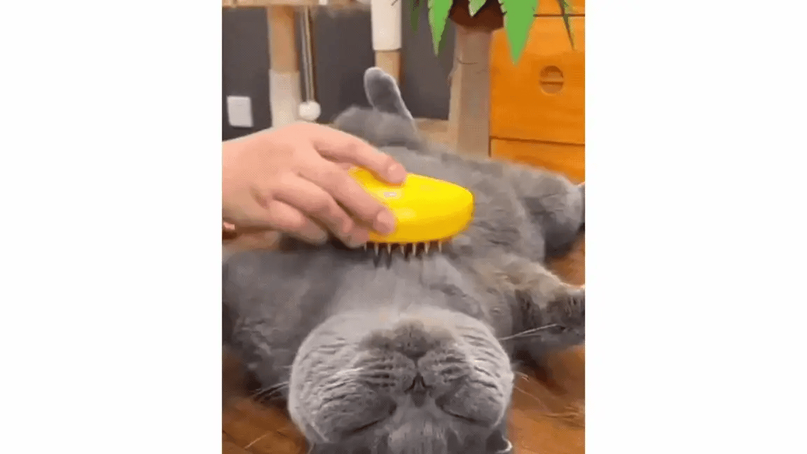 Steamy - Premium Katzenbürste