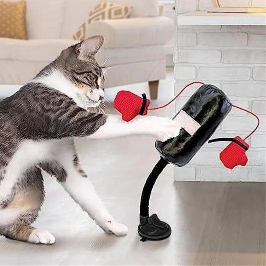 Interaktives Boxsack Katzen Spielzeug