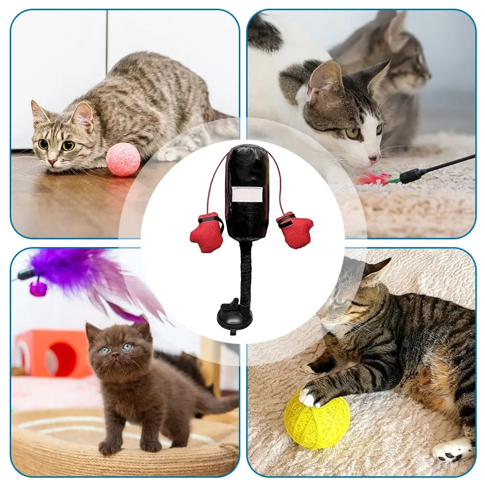 Interaktives Boxsack Katzen Spielzeug