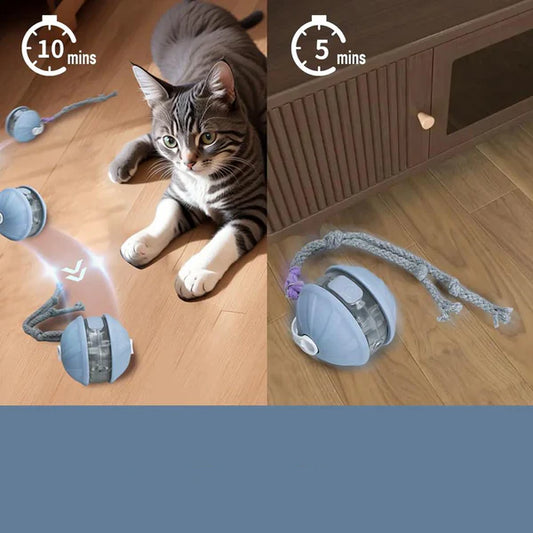3in1 Interaktiver Katzen Laser Spielball mit Federschwanz