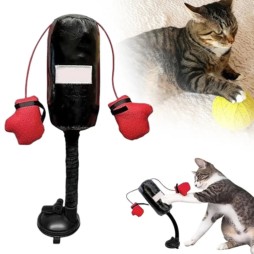 Interaktives Boxsack Katzen Spielzeug