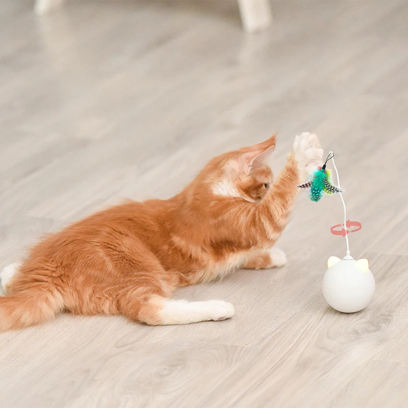 Interaktiver Katzen Spielball mit Federn