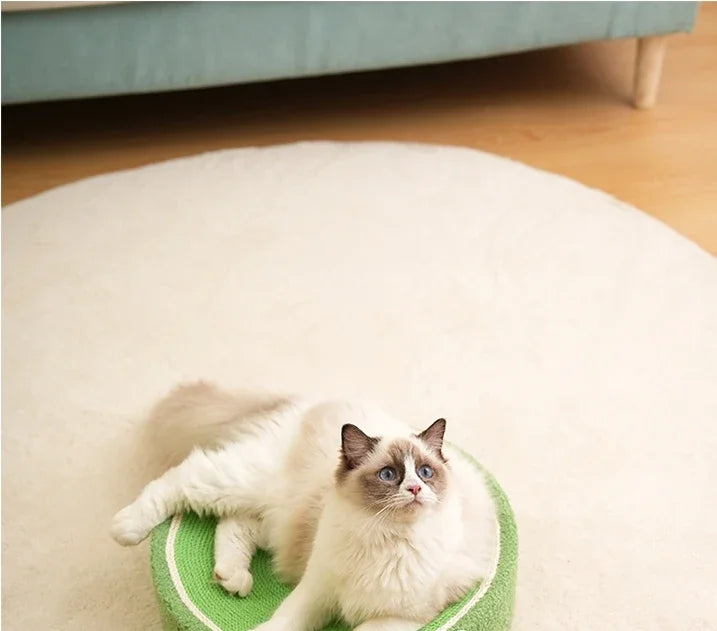 Sisal Kratzbett für Katzen