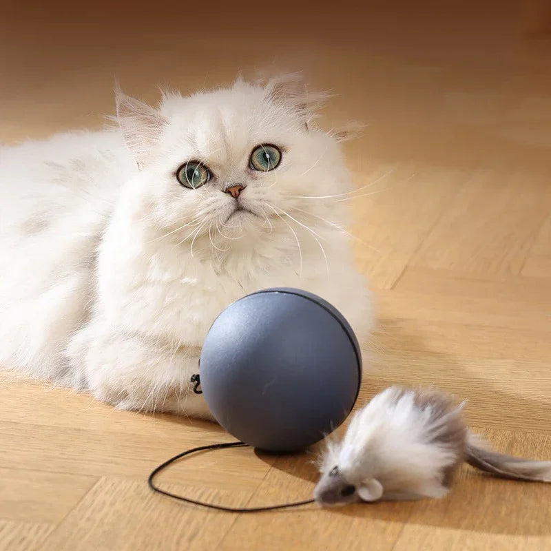 Katzen Turboball mit Schwanz Spielzeug
