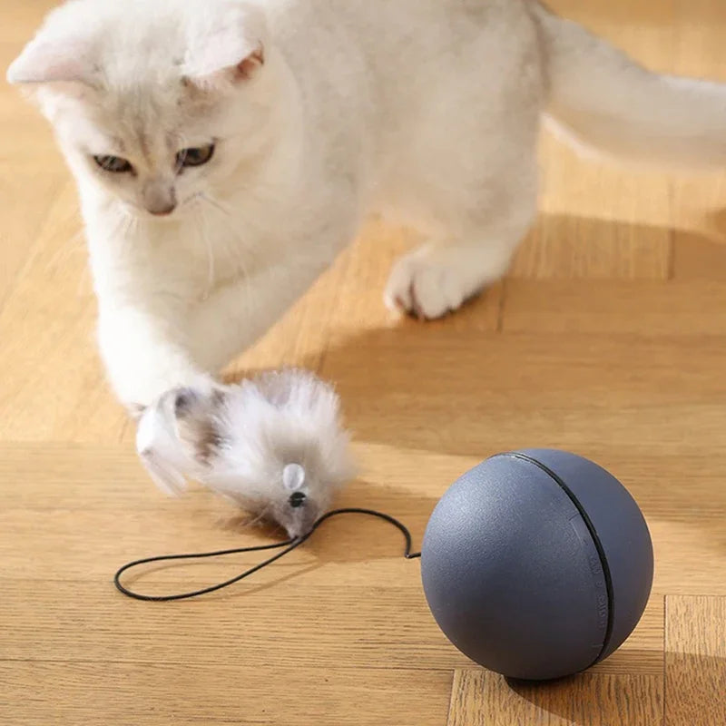 Katzen Turboball mit Schwanz Spielzeug