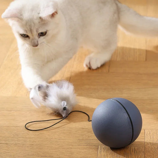 Katzen Turboball mit Schwanz Spielzeug