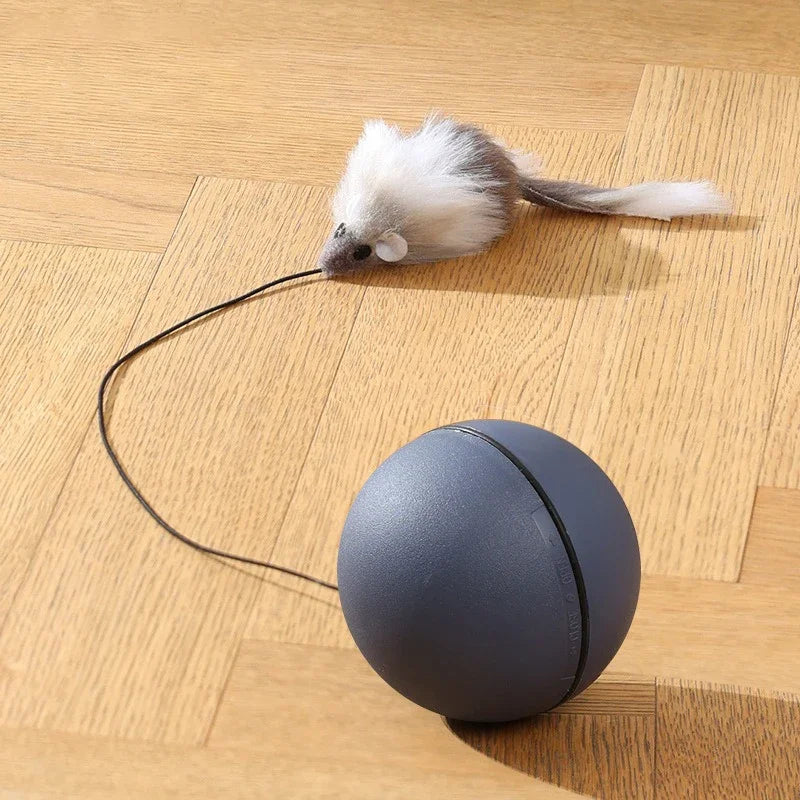 Katzen Turboball mit Schwanz Spielzeug