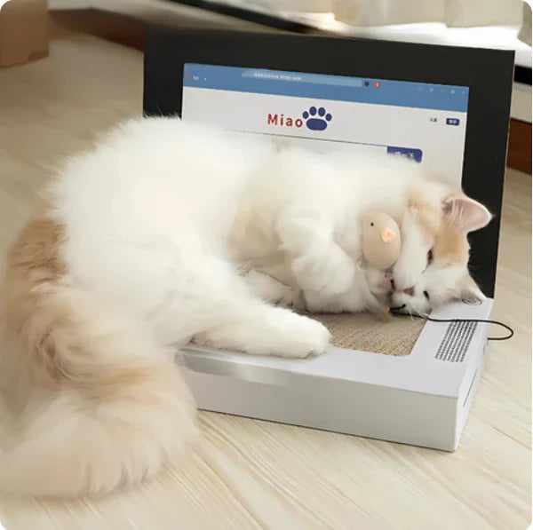 Katzen Kratzbrett Laptop