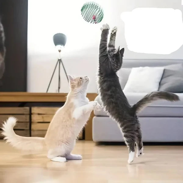 Mäuse In Spiralkäfig – Beutespiel Für Katzen 3 Stück