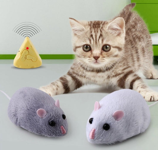 Elektrische Katzen-Spielmaus – Interaktive Rennmaus Für Jagdspaß