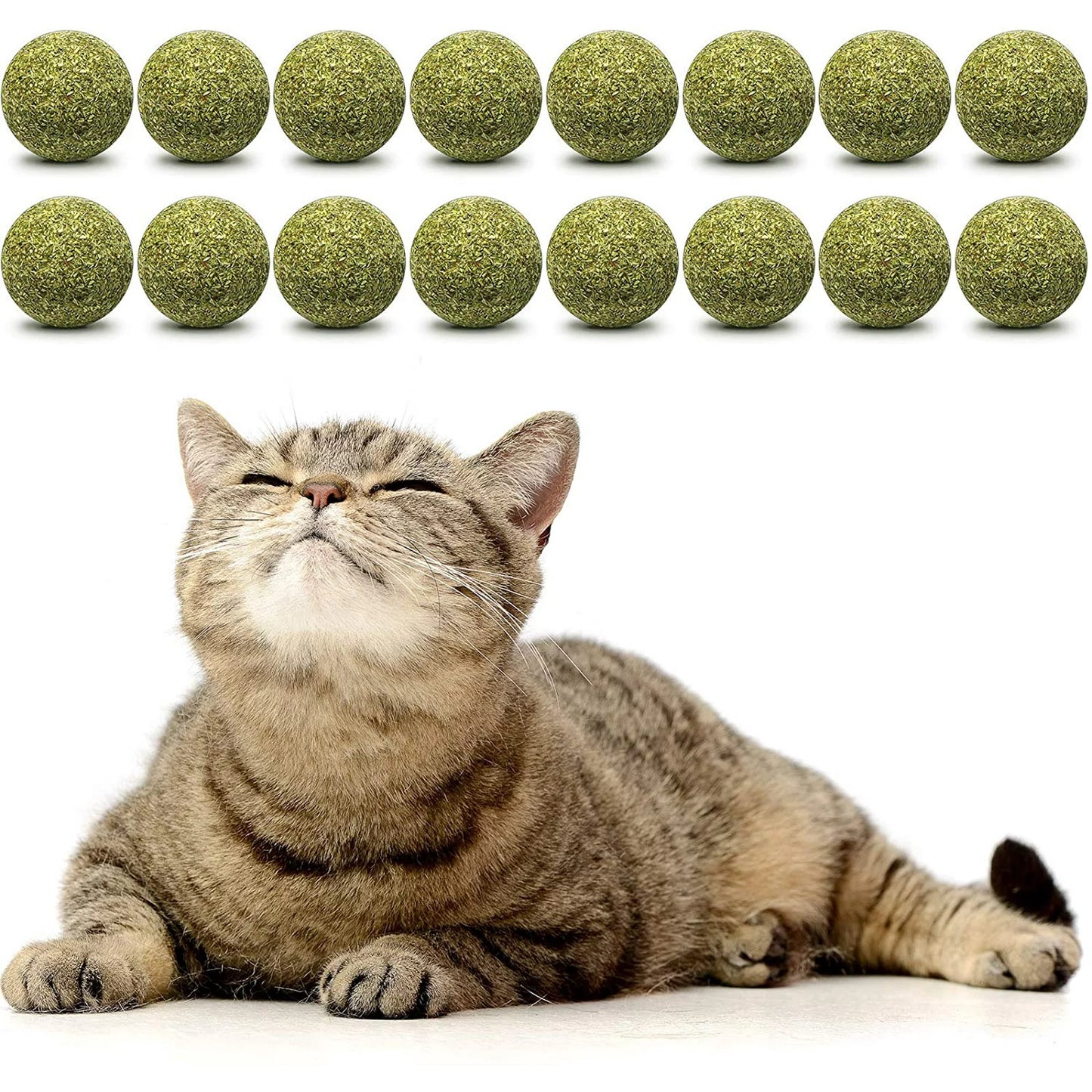 Katzenminze Ball für Katzen
