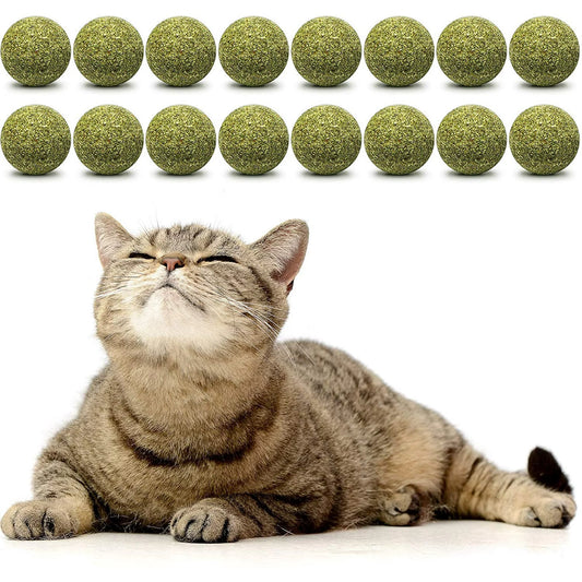 Katzenminze Ball für Katzen