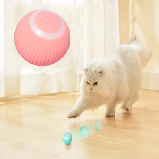 Interaktiver Spielball für Katzen