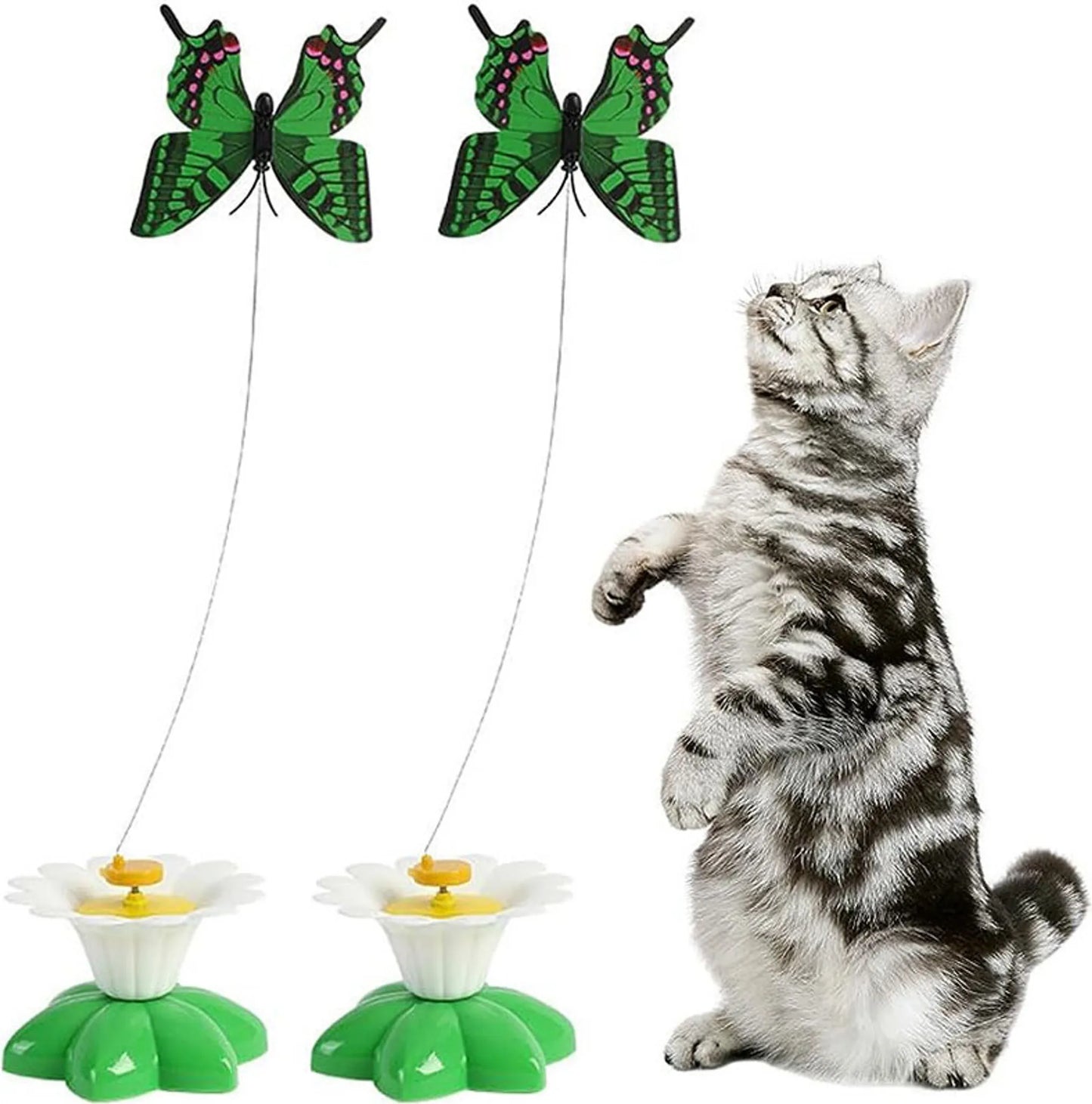 Schmetterling Spielzeug für Katzen