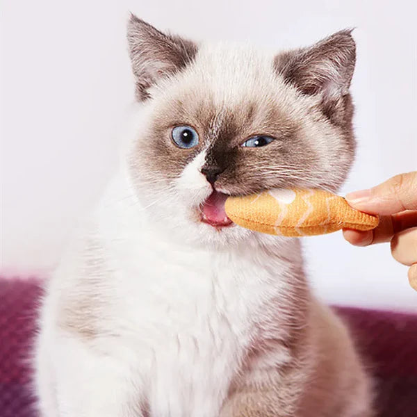 Interaktives Katzenspielzeug – Bunte Fischspielzeuge Im Set Zum Kauen und Spielen