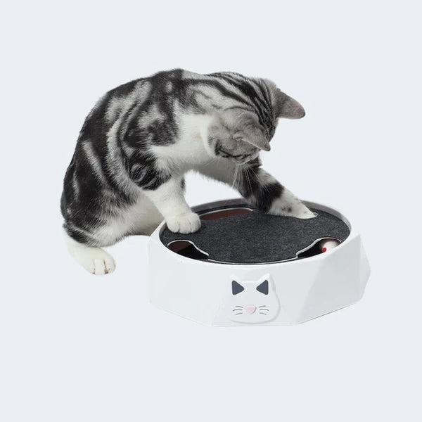 Interaktives Mausversteckspiel für Katzen