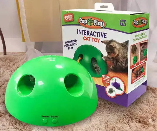 Katzen Guck-Guck Spiel