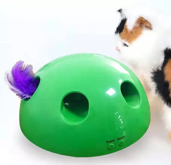 Katzen Guck-Guck Spiel